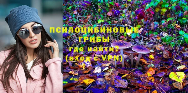 амф Зерноград