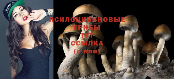 первитин Зеленокумск