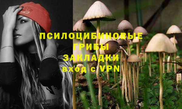 mdpv Зеленодольск