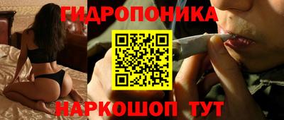 spice Пенза