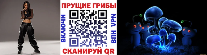 цена   Ржев  Псилоцибиновые грибы MAGIC MUSHROOMS 